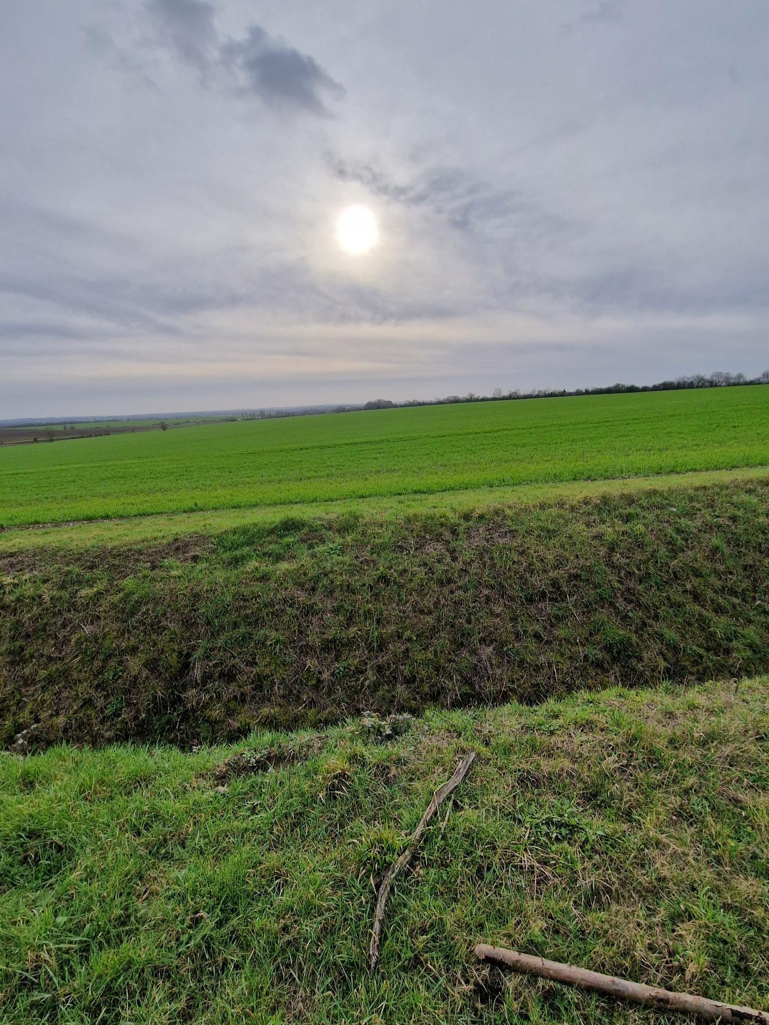 Fields towards East Hatley